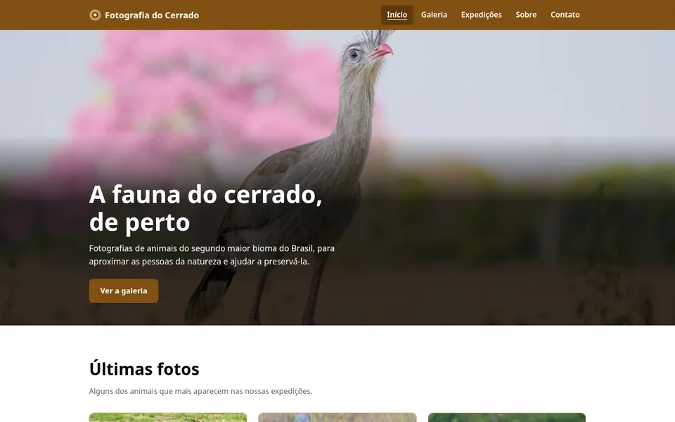 Page d’accueil de Fotografia do Cerrado : un cariama dans les herbes dorées, avec un ipê rose en fleurs à l’arrière-plan